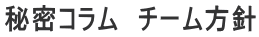 秘密コラム チーム方針